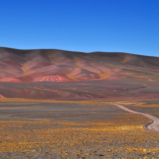 Argentina-San-Juan-Parque Nacional San Guillermo