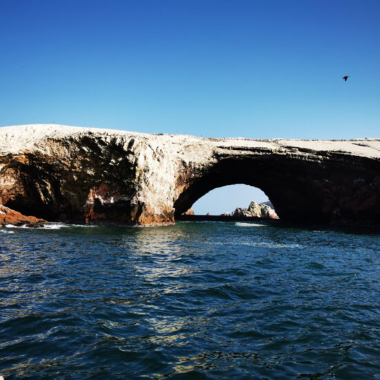 Ballestas-Islands-Islas-Ballestas-2