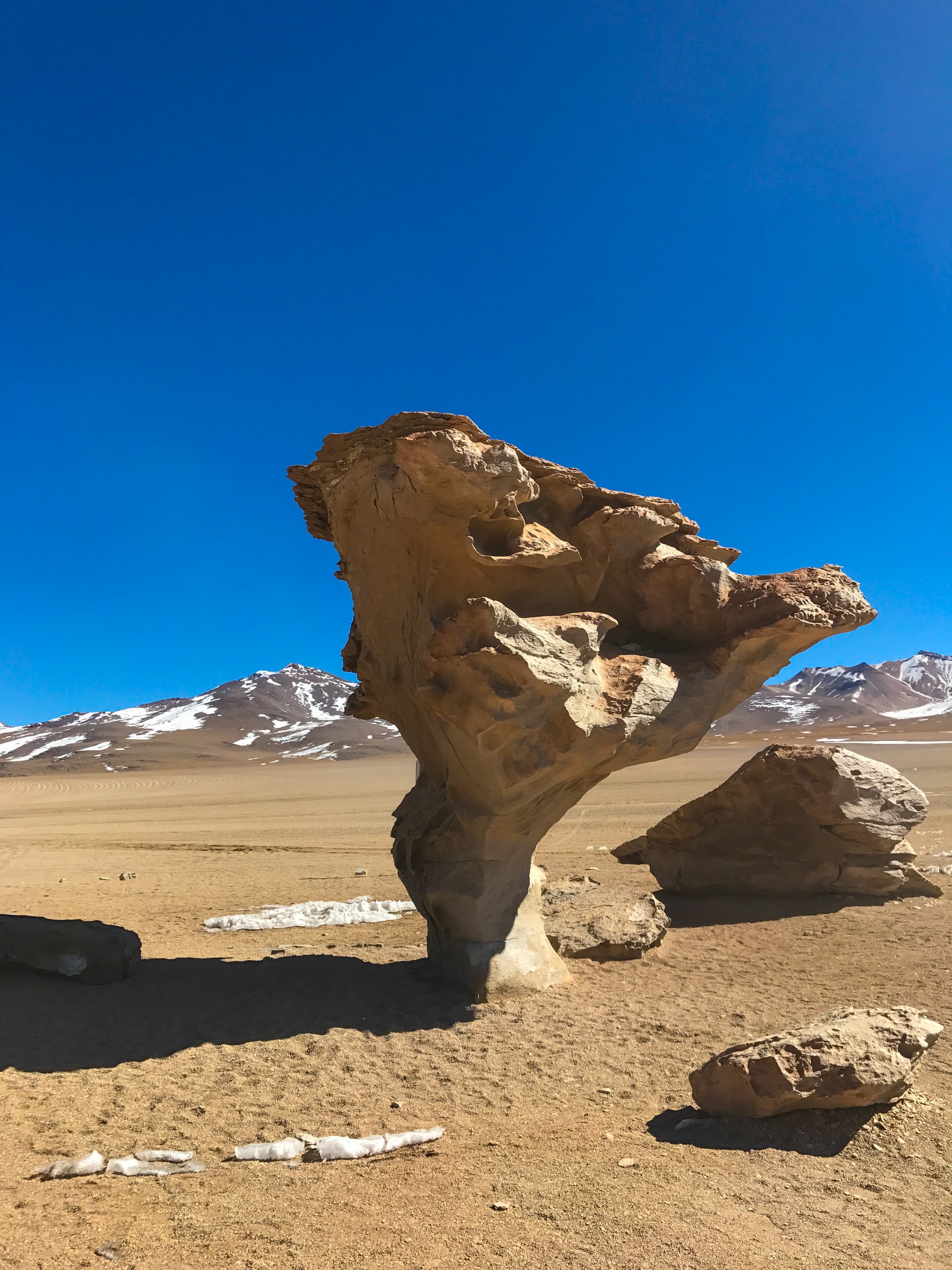 Bolivia-Eduardo-Avaroa-National-Reserve-Piedra-Arbol