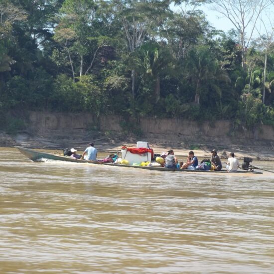 Peru-Amazonie-Tambopata