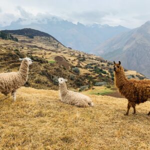 Peru-Huchuy-Qosqo