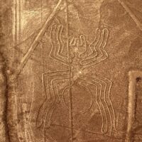 Peru-Nazca-Pavouk