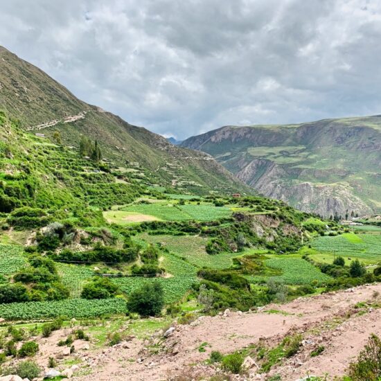 Peru-Perolniyoc