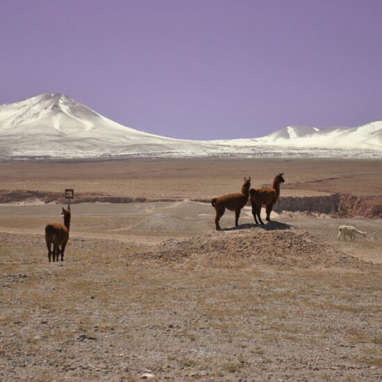Chile-San-Pedro-de-Atacama