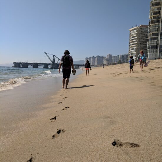 Chile-Vina-del-Mar